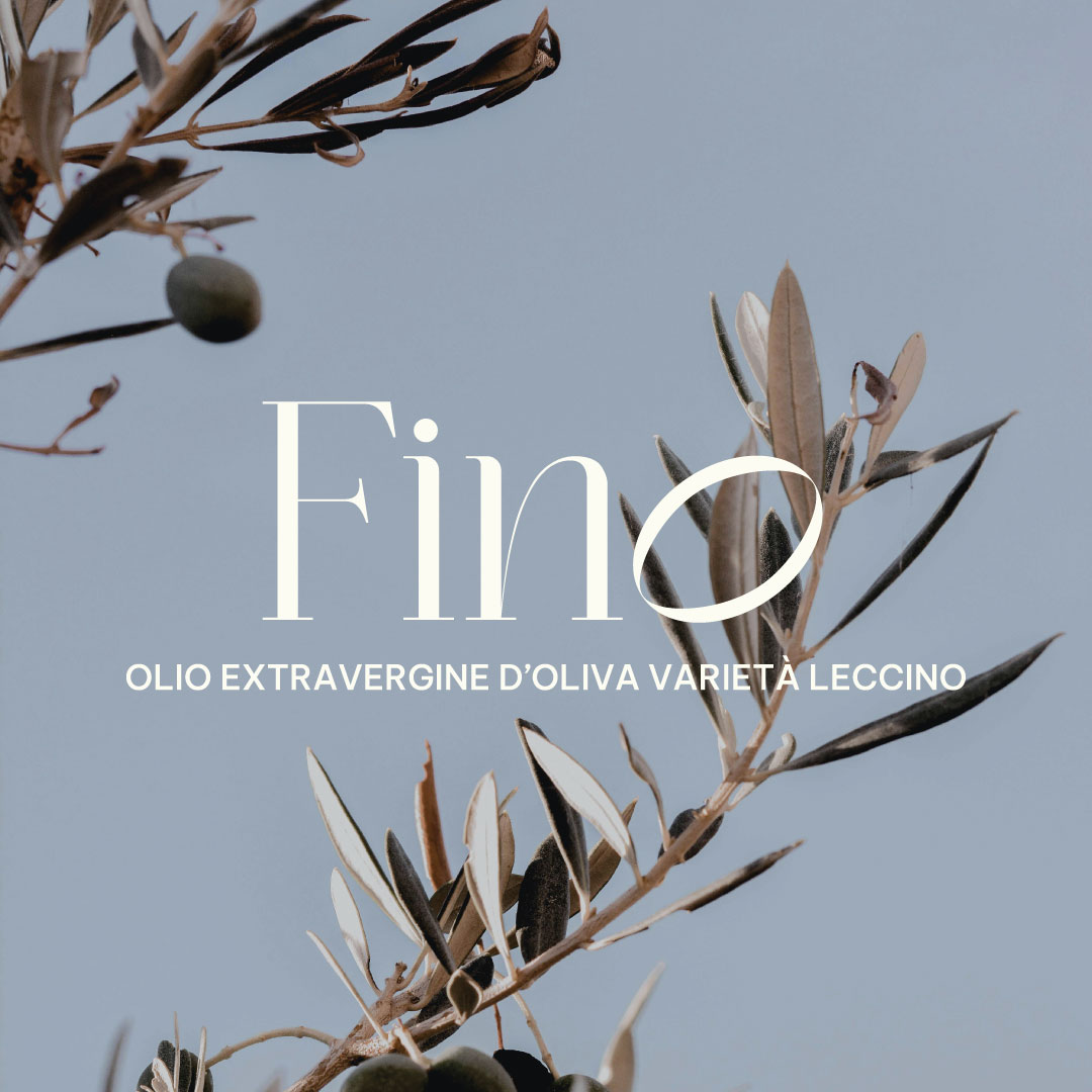 brand identity, Olio Extra Vergine d'Oliva Fino, Design